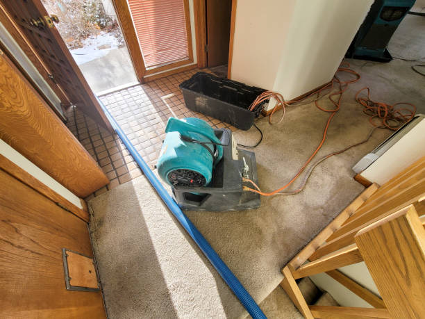 Best Flood restoration services  in El Paso De Robles, CA