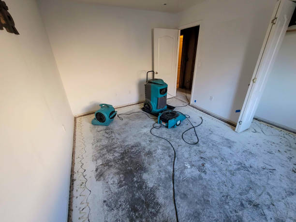 Best Local water damage restoration  in El Paso De Robles, CA