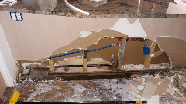 Best Ceiling water damage repair  in El Paso De Robles, CA