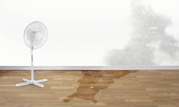 Best Sewage cleanup and water damage restoration  in El Paso De Robles, CA