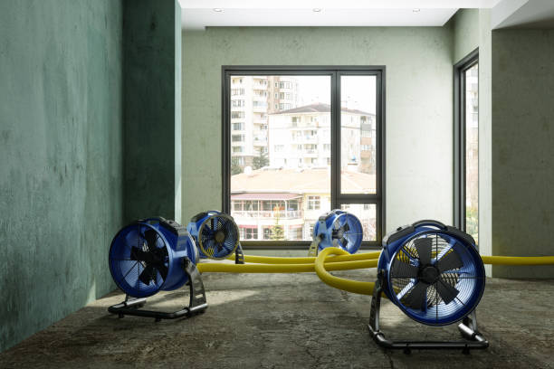 Best Professional water damage repair  in El Paso De Robles, CA